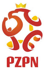 logo-pzpn.jpg